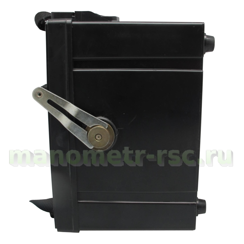 Мегаомметр ЭС0202/2Г 